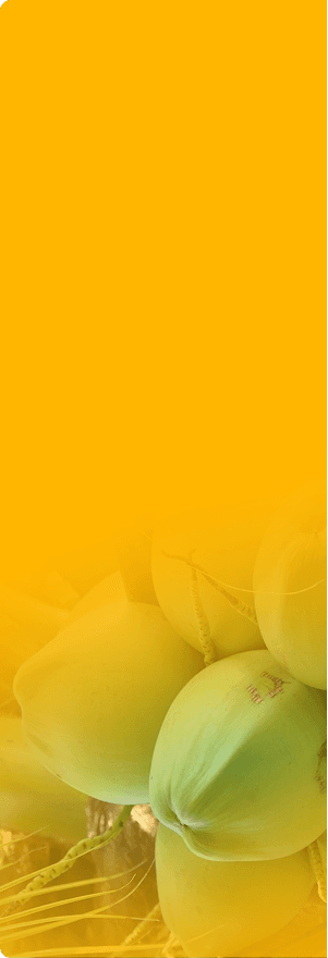 bg-featured-category