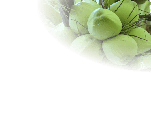 bg-featured-category