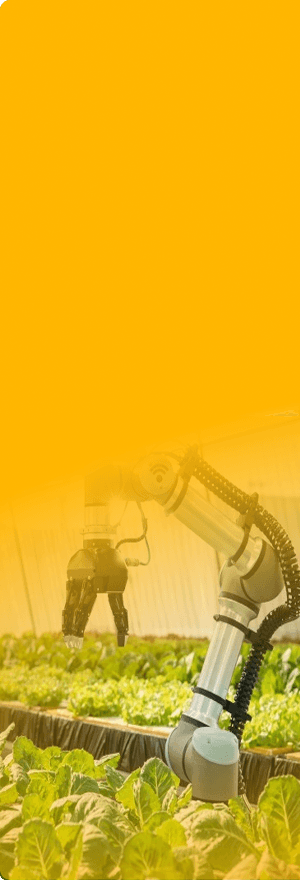 bg-featured-category